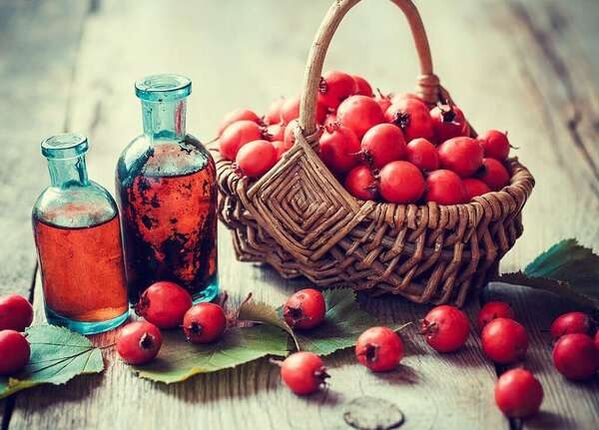 Hawthorn Fruits για την αύξηση ενός μέλους