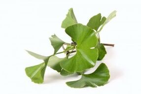 ginkgo biloba για μεγέθυνση πέους